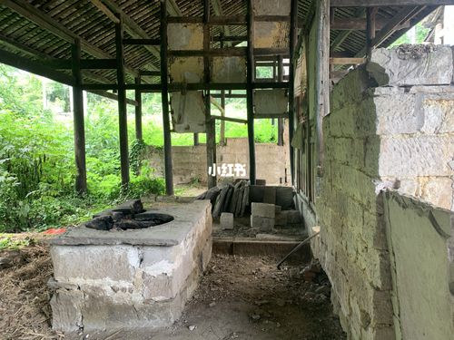 探秘重庆深山里的废弃寺庙一_寺庙_恐怖片_建筑_我的日常_出行_人文