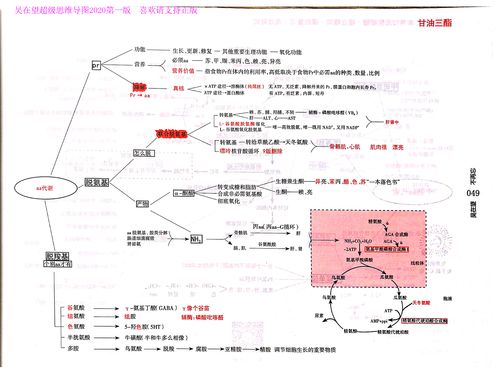 西综思维导图,西综考研神器,吴2生学--吴在望