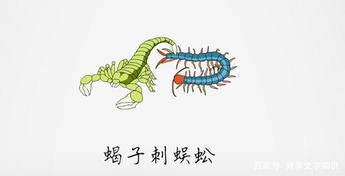 蝎子刺蜈蚣 —— 以毒攻毒