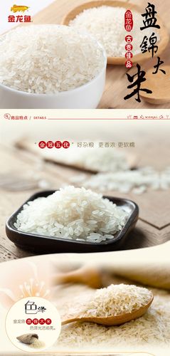 金龙鱼盘锦大米5kg