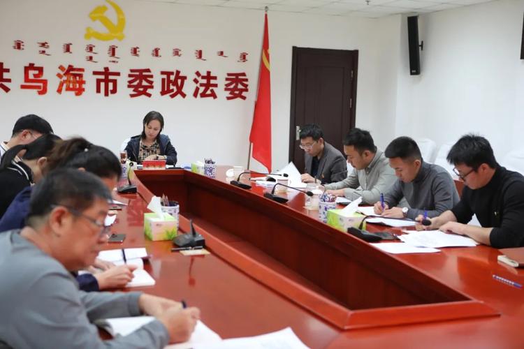 市委副书记,政法委书记,海勃湾区委书记奇飞云以普通党员身份参加党