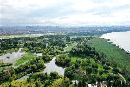 带你打卡cop15户外考察点:宝丰湿地公园
