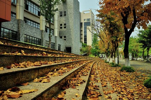 行摄校园重工校园美景