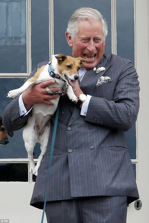 "神奇"动物在英国皇室