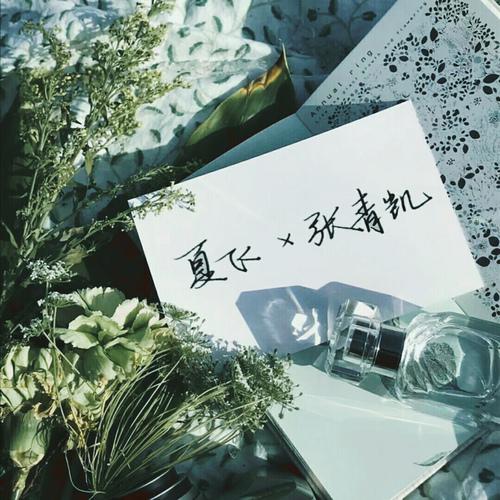 "夏飞和张青凯这一辈子虽然吵过.