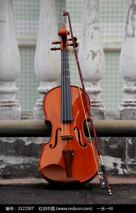 小提琴特写