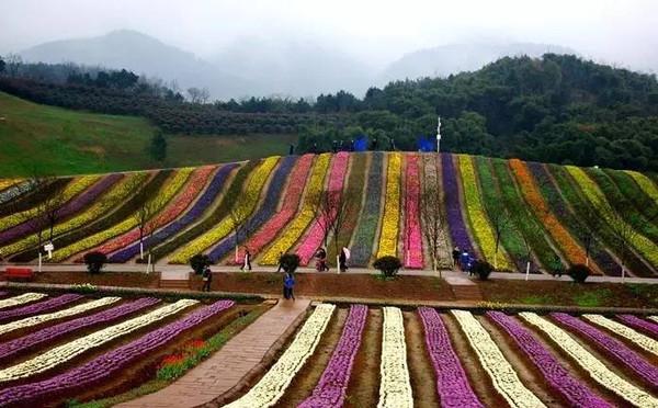 【游重庆】拍穿越剧看舞龙游花海……?这个"五一"铜梁邀你high起来