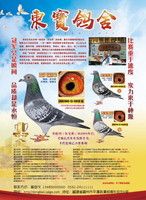 福建东宝鸽舍