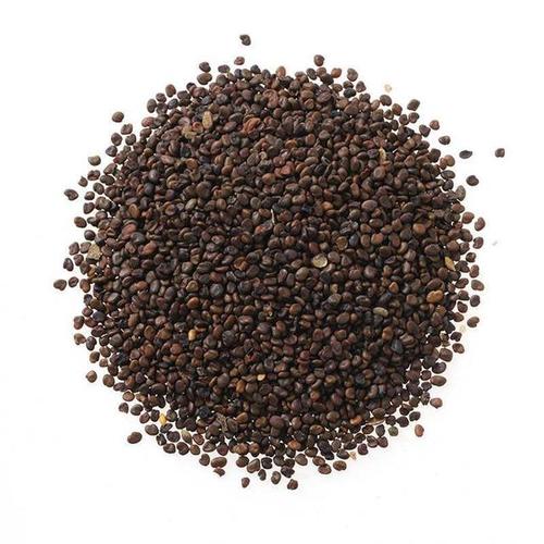 沙苑子熬煮药膳汤时,阴虚火旺者注意,它的功效虽强大