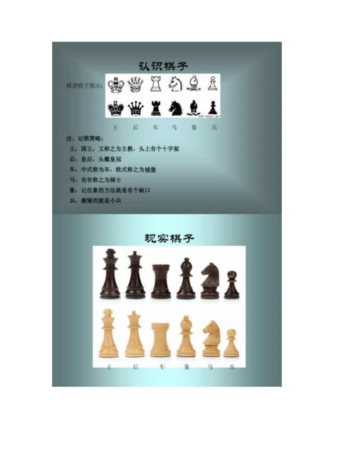 【图文】国际象棋入门.doc 11页