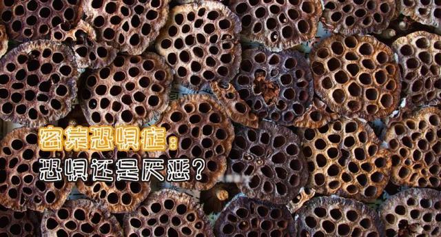 密集恐惧症:恐惧还是厌恶?