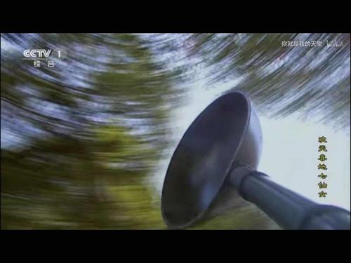 什么叫天降一口大锅 我见识到了