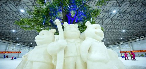 三只熊冰雪王国