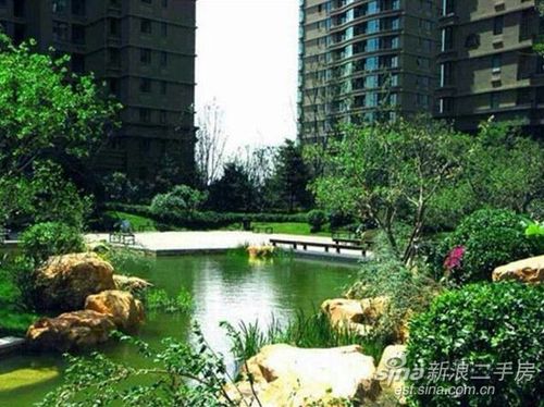 天洋城 普通住宅 小区图2