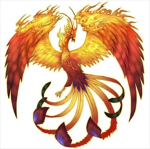 《潘德的预言》凤凰骑士团 - 浴火重生的不死鸟