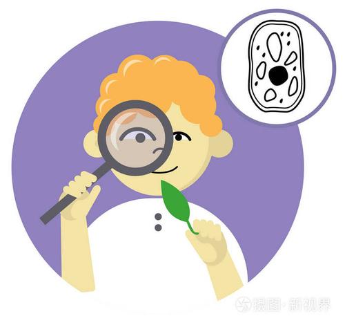 小学生的平面圆形头像.我最喜欢的学科是生物学