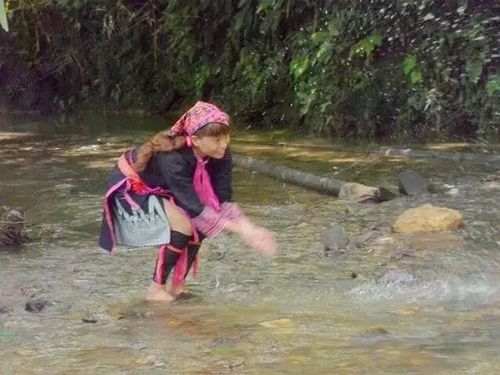 地址(位置,怎么去,怎么走):  屯昌县南坤镇380县道