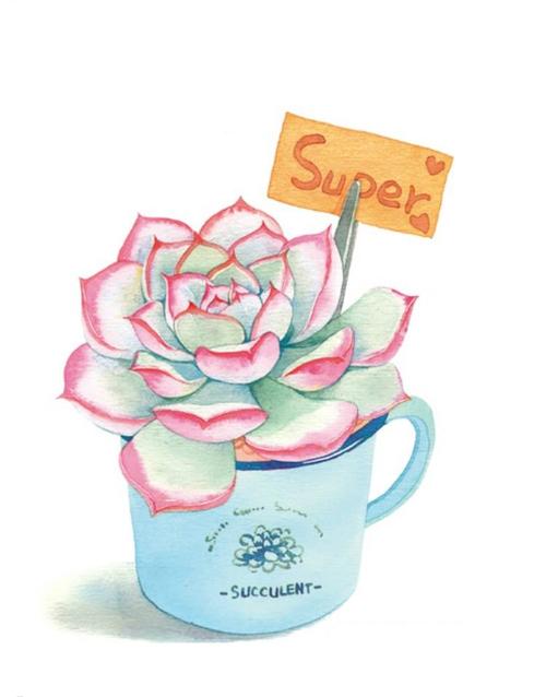 水彩#手绘#多肉