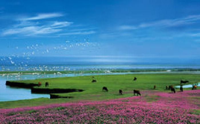 鄱阳湖是中国第一大淡水湖,位于江西省北部,面积3960平方公里,国家