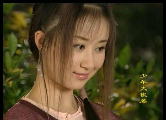 少年大钦差——陈文静