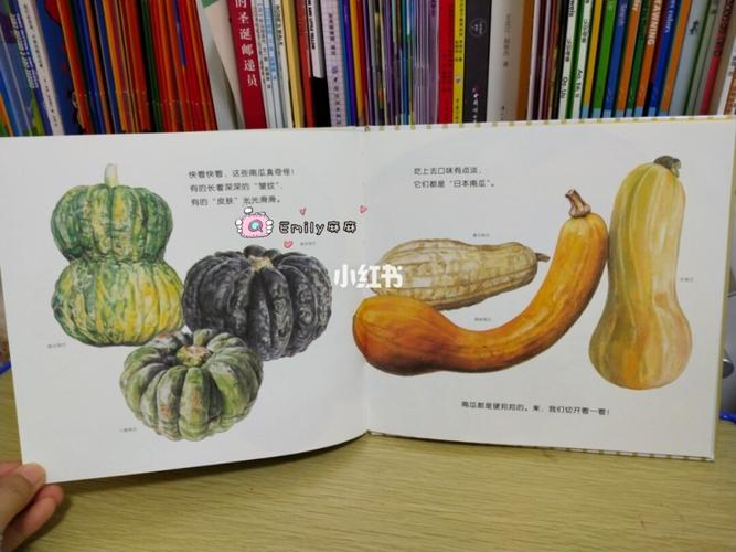 今日好书推荐:胖墩墩的大南瓜_好书推荐_圣诞去哪玩_夏天去哪玩_滤镜