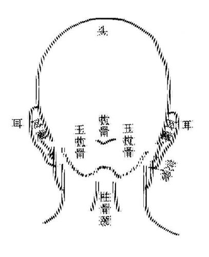 后脑这里有块突出来骨头的人怎么样?