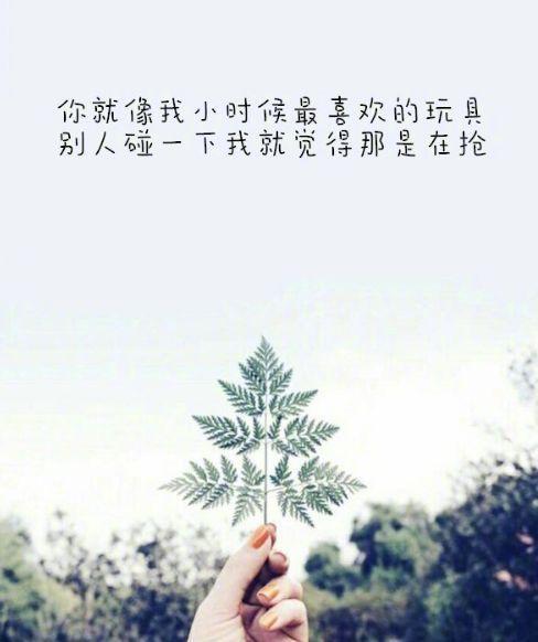 微信发朋友圈的说说经典短语总有一句入你心