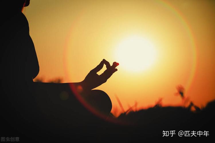 妈,你打坐都不会,你念的啥佛?揭开念佛打坐的迷雾-参禅的境界