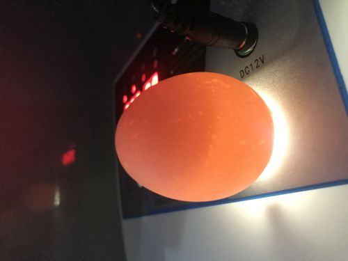 第三天照蛋,可以清晰的看到蛋黄凝固在上方