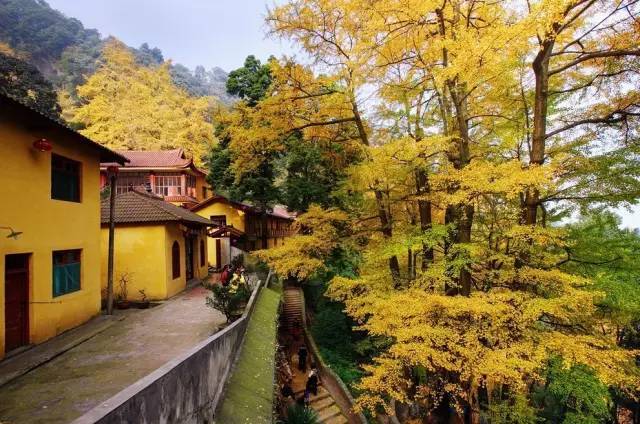 *图为大邑白岩寺