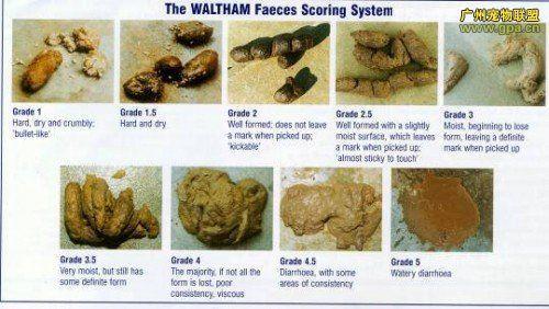 母乳颜色不正常,是什么原因造成的?