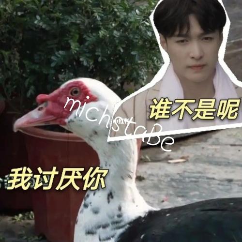 张艺兴表情包_表情包_张艺兴_素材_表情包