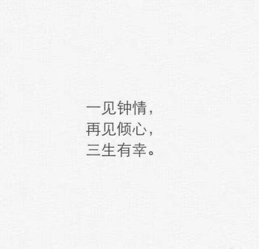 一见钟情