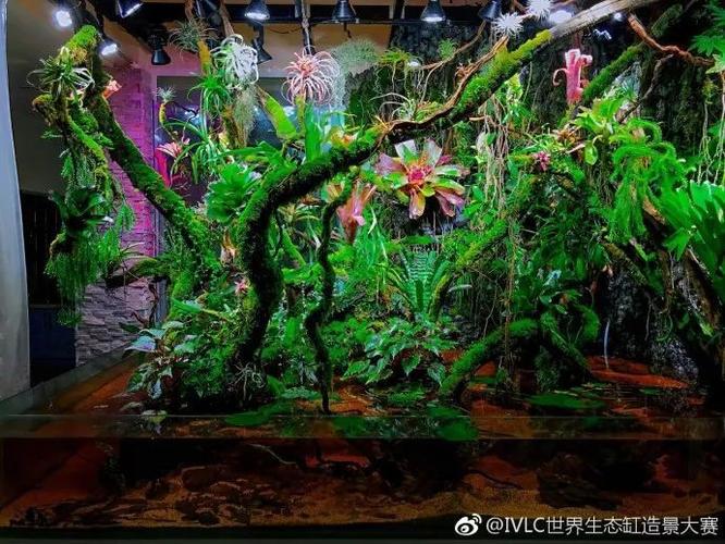 大型生态缸造景 - 2020年最新商品信息聚合专区 - 百度爱采购
