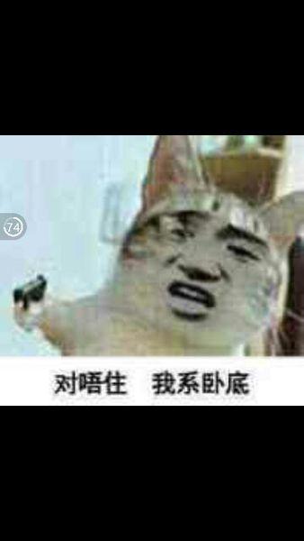 求类似的我是卧底的表情图