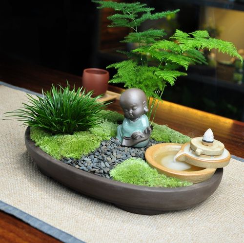 文竹摆件流香倒流绿植盆景小盆盆栽桌面禅意绿植