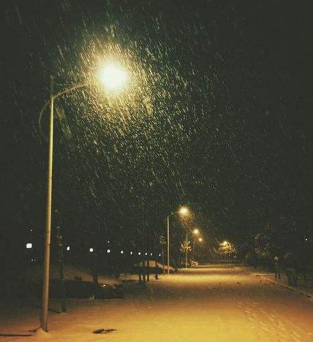 夜晚,橘黄色的路灯下,雪花飘飘扬扬,显得安静而和谐,使寒冷的冬天看