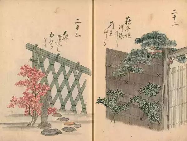 [艺术分享]日长篱落无人过, 惟有蜻蜓蛱蝶飞