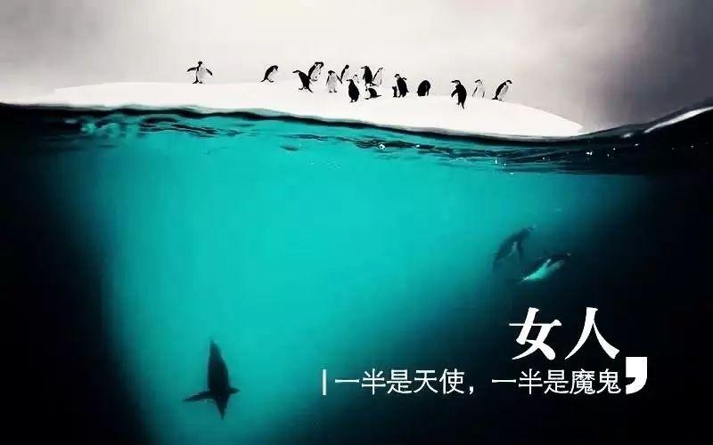 男人,一半是君子,一半是动物.