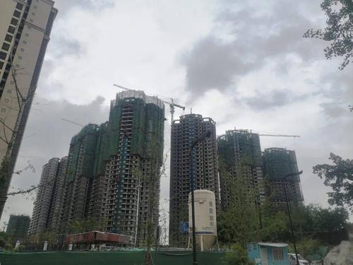 小编了解到,这片主要有三个小区: 塞纳国际小区,金山小区,碧水