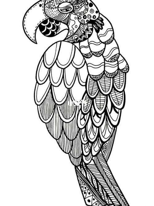 儿童线描《鹦鹉00》_线描_母婴_早教