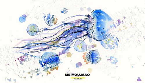 水母 游走在天际