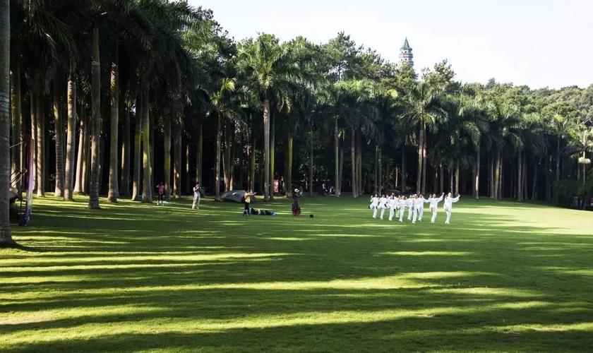 朱其芳摄 青山大草坪▲《兰湖倒影映翡翠》 焦鹏摄 青秀山兰园兰湖