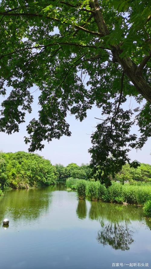 杭州西溪湿地公园 西湖美景