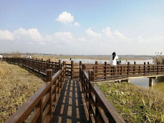 13(牛年初二)上午10多钟,自驾到武汉江夏安山国家湿地公园一日游