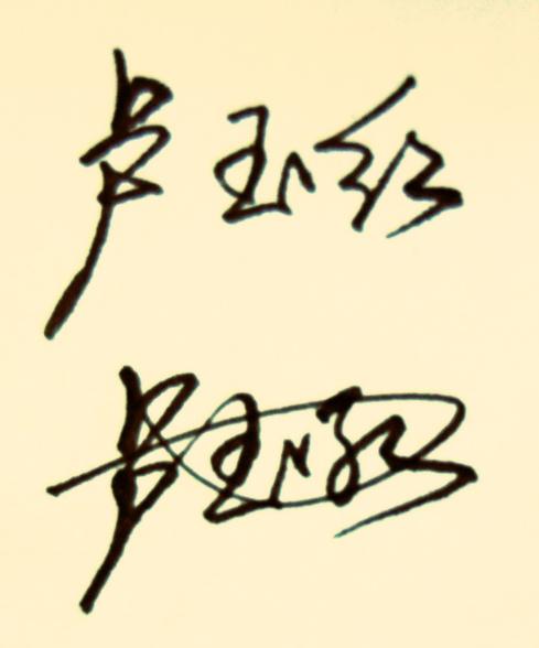 谁可以帮我设计个艺术签名,(卢玉红)好看的,防伪签,明星签.