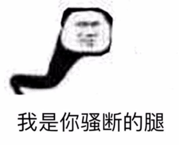 沙雕熊猫头表情包合集67