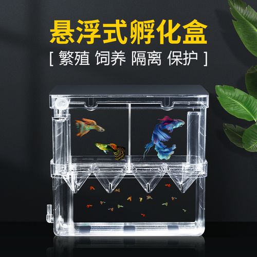 孔雀鱼繁殖盒鱼缸隔离盒特大号产卵孵化产房小鱼苗幼大鱼孵化器