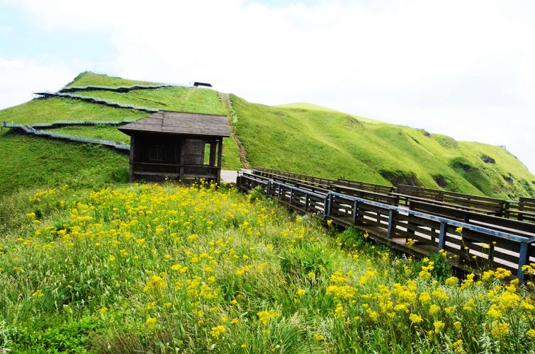 贵州赫章韭菜坪…天上花海景区风光(2020.7.23).