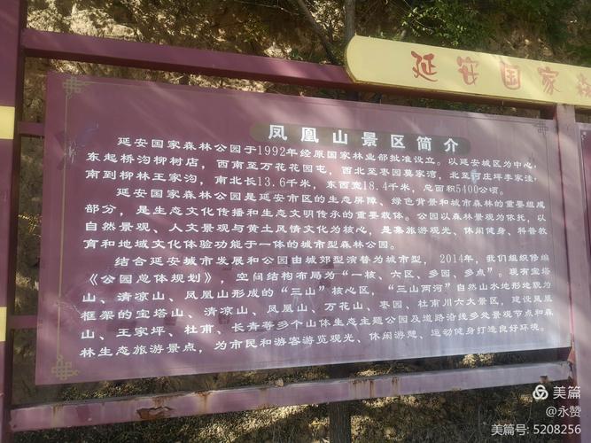 凤凰山是延安的国家森林公园,是延安市民,休闲锻炼的好地方.